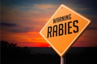 3 pets exposed to rabies in two Upstate counties