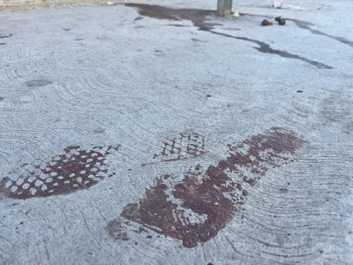 Siete nombres, una ciudad herida: la mayoría de las víctimas tenía menos de 30 años