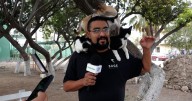 Dulces y mascotas: la ruta de Mi Manada