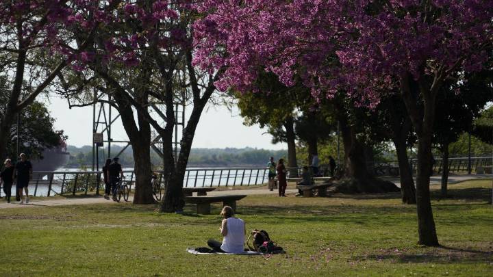 El tiempo en Rosario: martes agradable y con ambiente primaveral