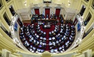 Milei se prepara para otra derrota: el Senado le rechazará sus vetos al Garrahan y a las universidades