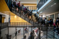 Families in N, NE Portland face shake-up in where children go to high school; see the 5 scenarios