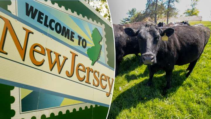 NJ family wins fight to save 175-year farm from eminent domain seizure