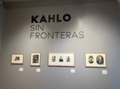 Exposición del Museo de Historia Natural de Londres inaugura Artes Visuales del FIC