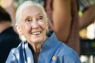 Renowned conservationist Jane Goodall dead at 91