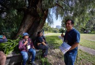 Mexico tours visit ancient sites