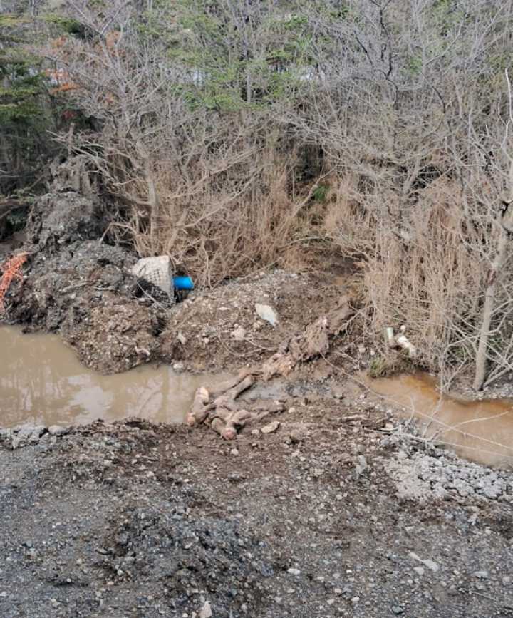 Macabro hallazgo de caballar muerto camino al Cerro Andino