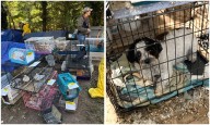 200 animals, elderly woman rescued from Long Island hoarder home