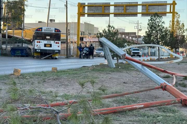 Chofer dormido destruye árboles y poste en la avenida Pérez Serna