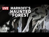 'Like It Or Not' LIVE from Markoff's Haunted Forest