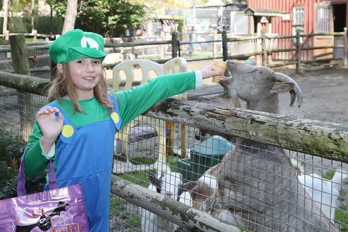 Spooky Safari returns to Forest Park Zoo in Springfield this weekend