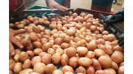 Avanza proceso de compras públicas de papa en Nariño: convenio firmado con Fedepapa permitirá iniciar adquisiciones