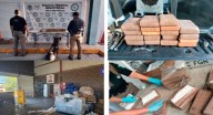 Decomisan 20 kilos de cocaína en empresa de paquetería de Hermosillo