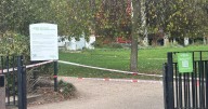 Waterloo Millennium Green 'stabbing': Man in hospital