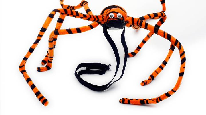 This kid wasn’t afraid of spiders, skeletons or a spontaneous pun