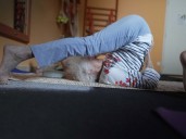 El enfoque sencillo de una profesora de yoga de 102 años para envejecer bien