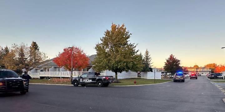 Large police presence in South Lansing