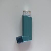 Common inhalers carry heavy climate cost, study finds