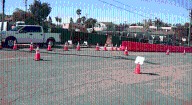 Judge blocks massive development project in Golden Hill