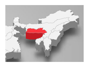 Meghalaya CM K Sangma hopes for early nod to separate IAS cadre