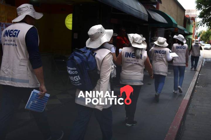 Inegi realizará censo en todos los municipios del país; así puedes reconocer a los encuestadores