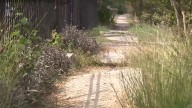 North Side neighbors push city to fix dangerous sidewalks
