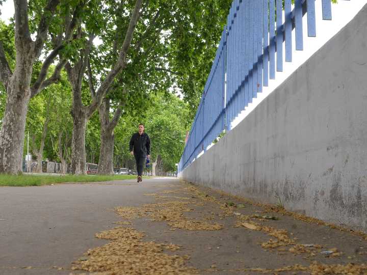 Los plátanos y la alergia: cómo aguantar los dos meses malditos