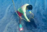 ZOFEMAT Los Cabos realiza jornada de limpieza de playas en El Médano con participación ciudadana