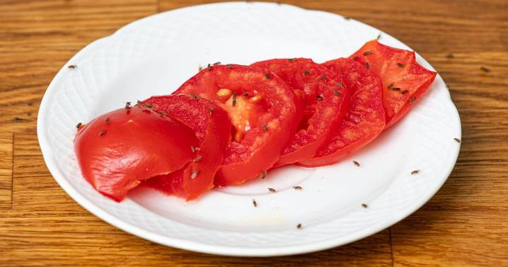 Chef reveals simple kitchen ingredients to banish fruit flies