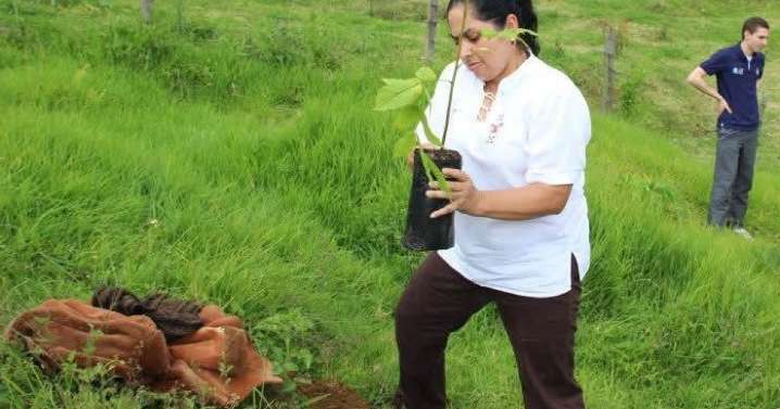 Un jardín de recuerdos: participe en la sembratón en honor a la enfermera Cándida Rosa Castañeda Valencia