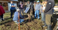 Boyeros solares: energía limpia para potenciar la ganadería en la Patagonia Norte