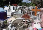 Digitalizan más de 10 mil tumbas para combatir abandono en Cancún