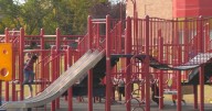 Alberta teachers' strike: Private school funding focus of petition