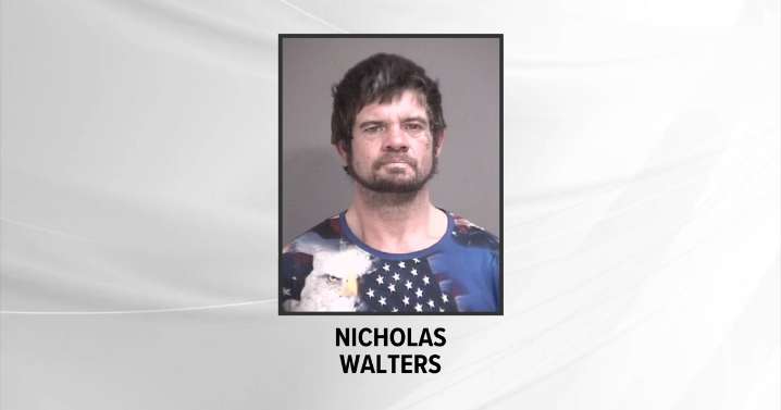 Man pleads guilty to throwing Molotov cocktail at courthouse