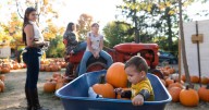Fall fun at Hilger Family Farm