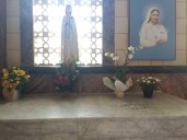 Madre Concepción: testimonio vivo de Carmen Rendiles