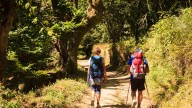 El Camino Inglés a Santiago consolida su auge con un crecimiento del 8% y roza los 29.000 peregrinos en lo que llevamos de 2025