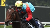Hot Everest favourite Ka Ying Rising steps out for Randwick barrier trial ahead of $20 million race