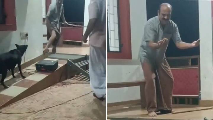 Street Dog Interrupts Rabies Awareness Play In Kerala, Bites Actor In Confusion After Sound Effects Mimic Barking Sounds