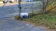 Woman In Alabama Discovers Sealed Container On A Lawn, And What’s Inside Is Heartbreaking
