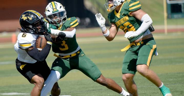 Lions fall short in comeback effort against Tigers