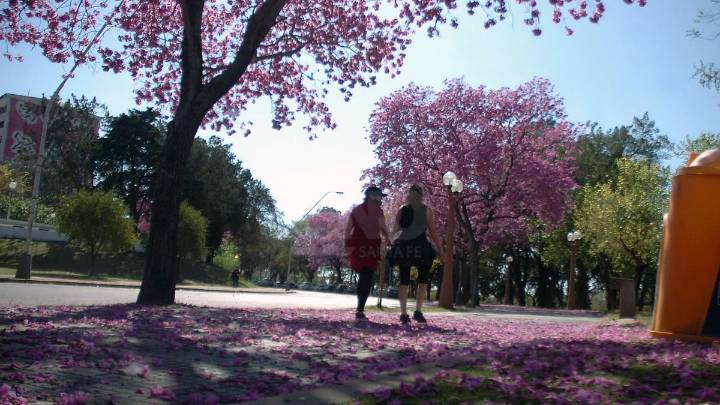 Viernes soleado, caluroso y algo inestable en la ciudad de Santa Fe: ¿llega la lluvia?
