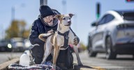 Continued crackdown on homeless? Santa Fe ordinance would prohibit pets in medians