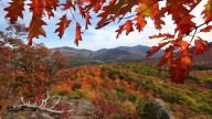 World Atlas names the most captivating small towns in NY: See the list