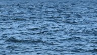 Newburyport water rescue: Man thrown from boat at Merrimack River
