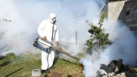 Dengue en Catamarca: "Se inspeccionó la vivienda del primer caso sospechoso y todas las casas de la manzana"