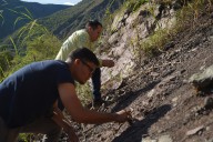 Universidad de las Ciencias incorporará Paleontología en su oferta académica