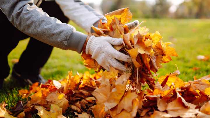 Ditch The Rake And Swap To This Unexpected DIY Solution For Leaves This Fall