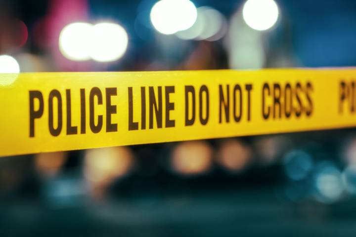 Retired Women’s Wrestling Referee Dead After Bear Mauling Attack in Japan