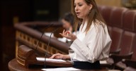 Pleno en el Congreso de los Diputados mientras Koldo comparece ante el Supremo, en directo